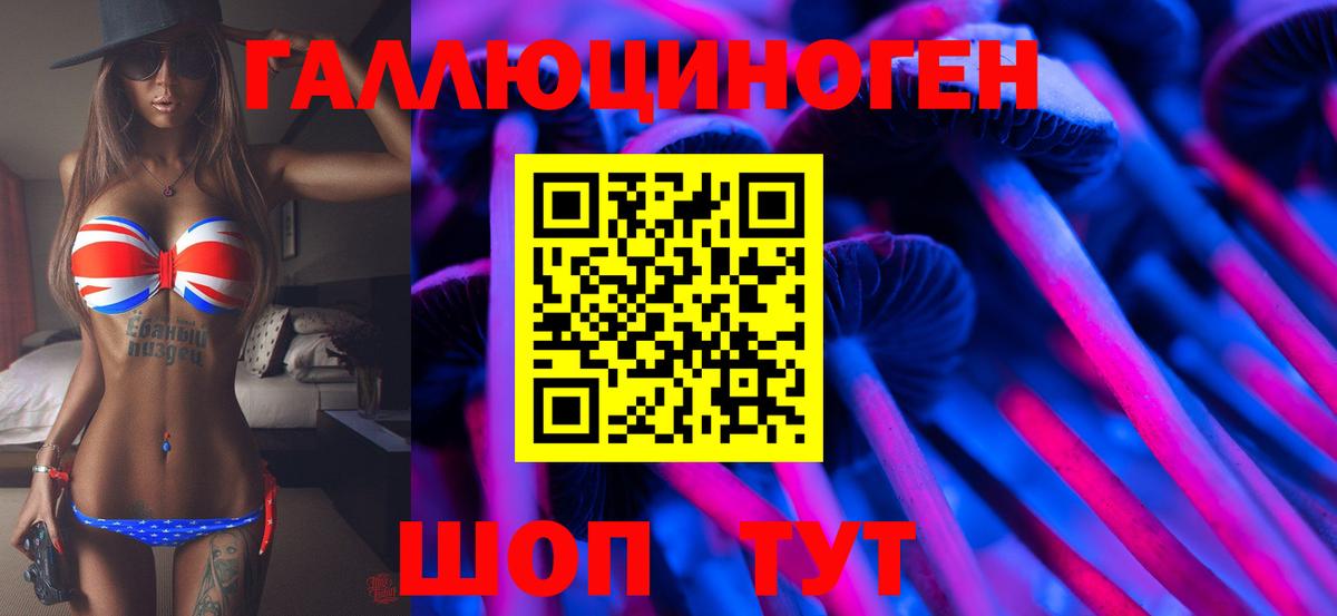 Галлюциногенные грибы Psilocybe Тулун